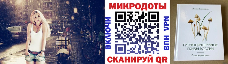 мориарти как зайти купить Суздаль Псилоцибиновые грибы Psilocybine cubensis